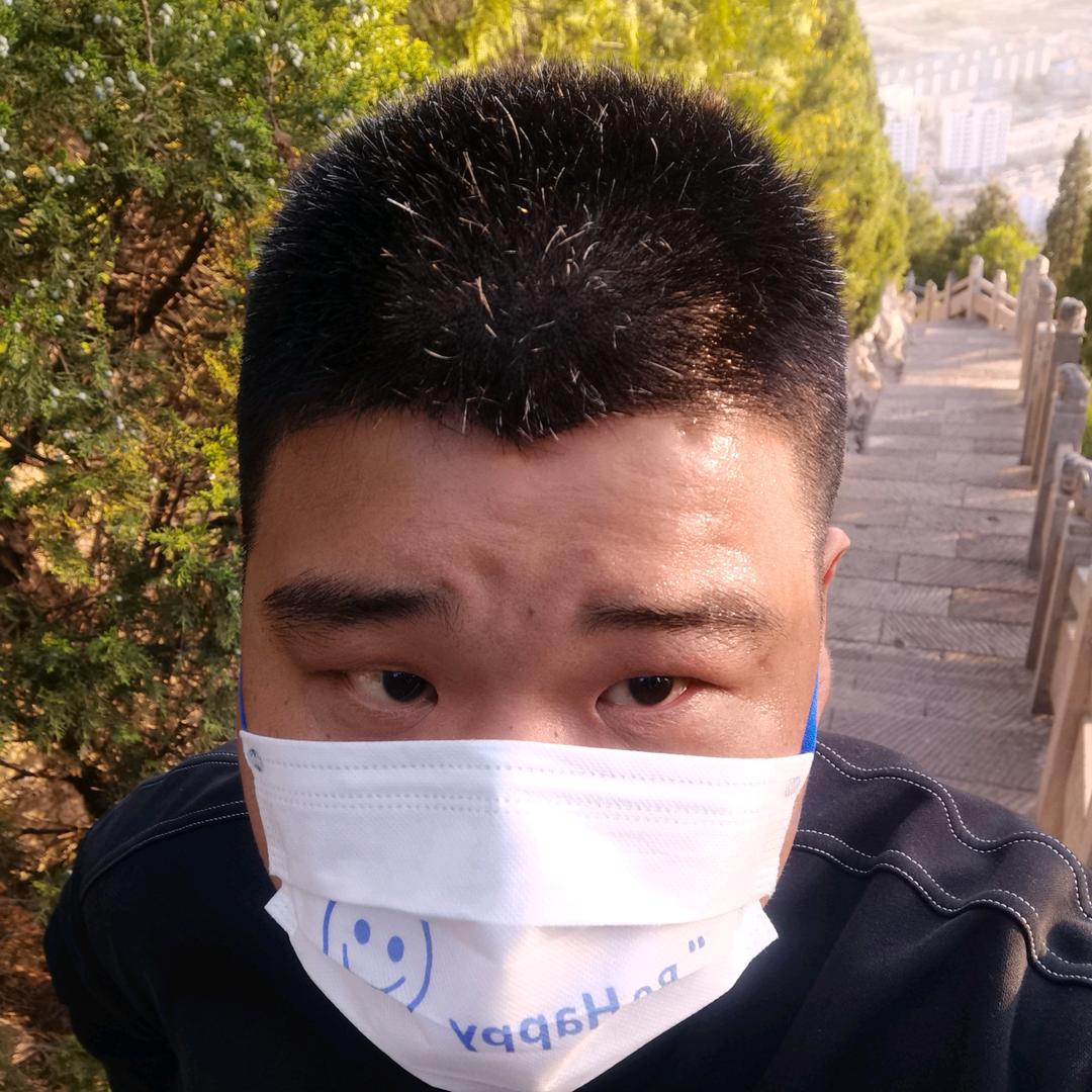 段鹏