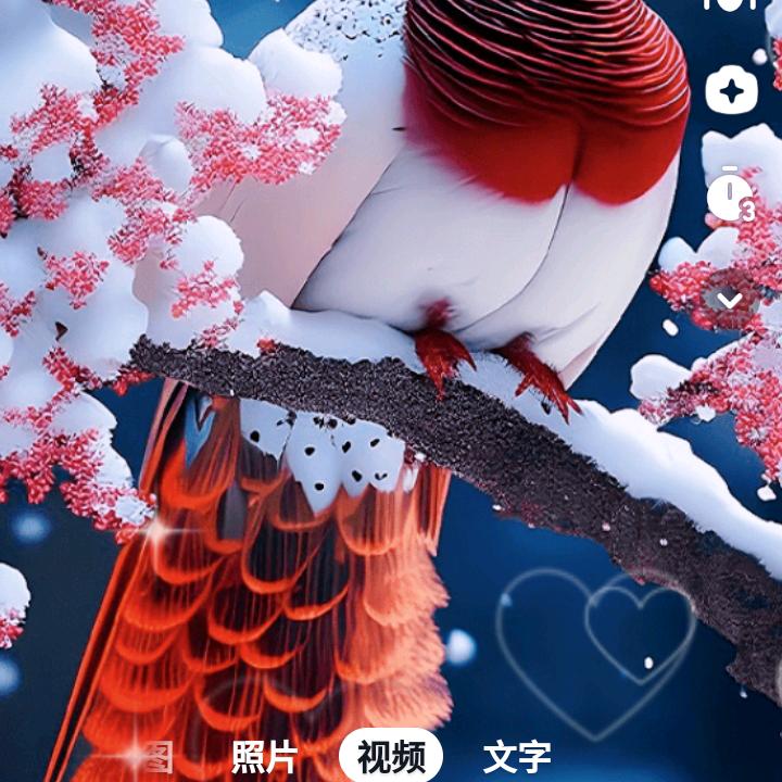 每天都开心