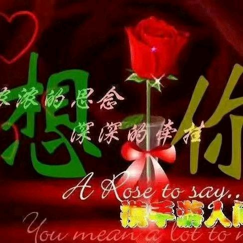 💞一汪琴深💞