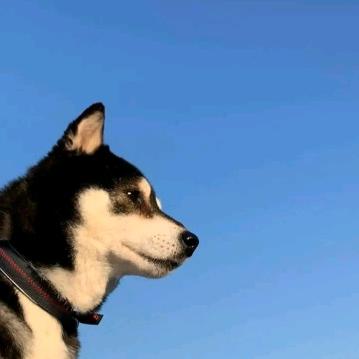 1001.8w人