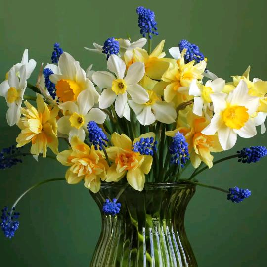 人间难得与真爱。