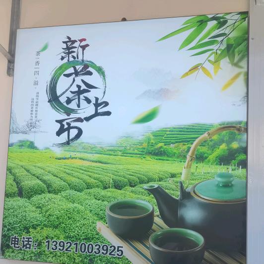金坛茶叶梅姐