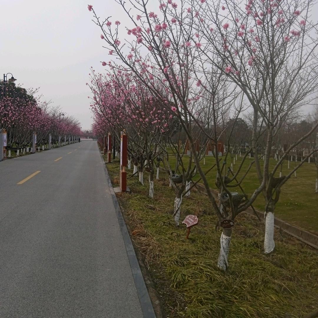 天天炒菜，单身带儿女