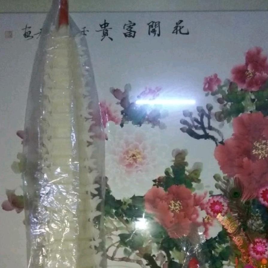 徒步郑友武1029