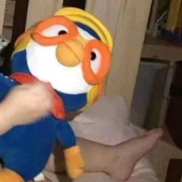 笙歌£