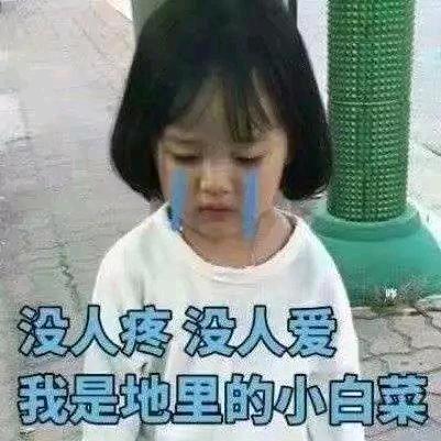 小陈陈