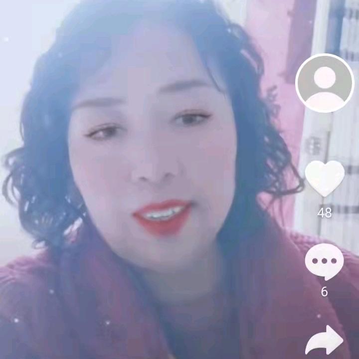 梅花手机摄影