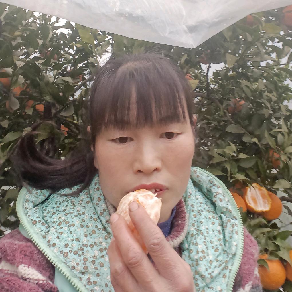 各种柑橘 代办红姐自产自销。