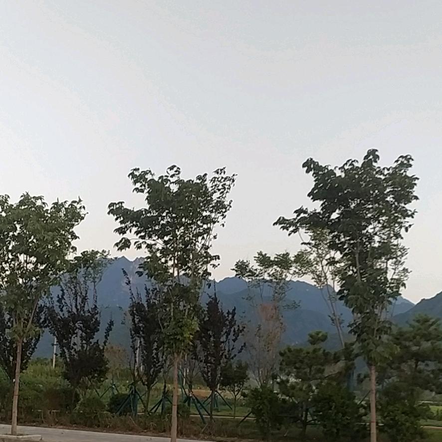 大海