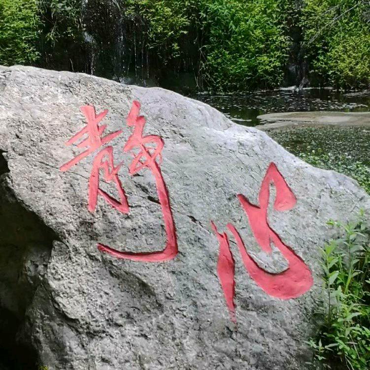 似水丽人