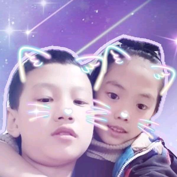 钢花路枫叶削面