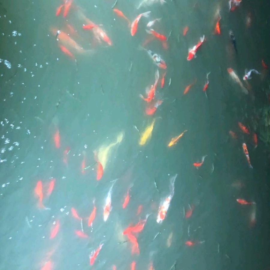 永远相伴