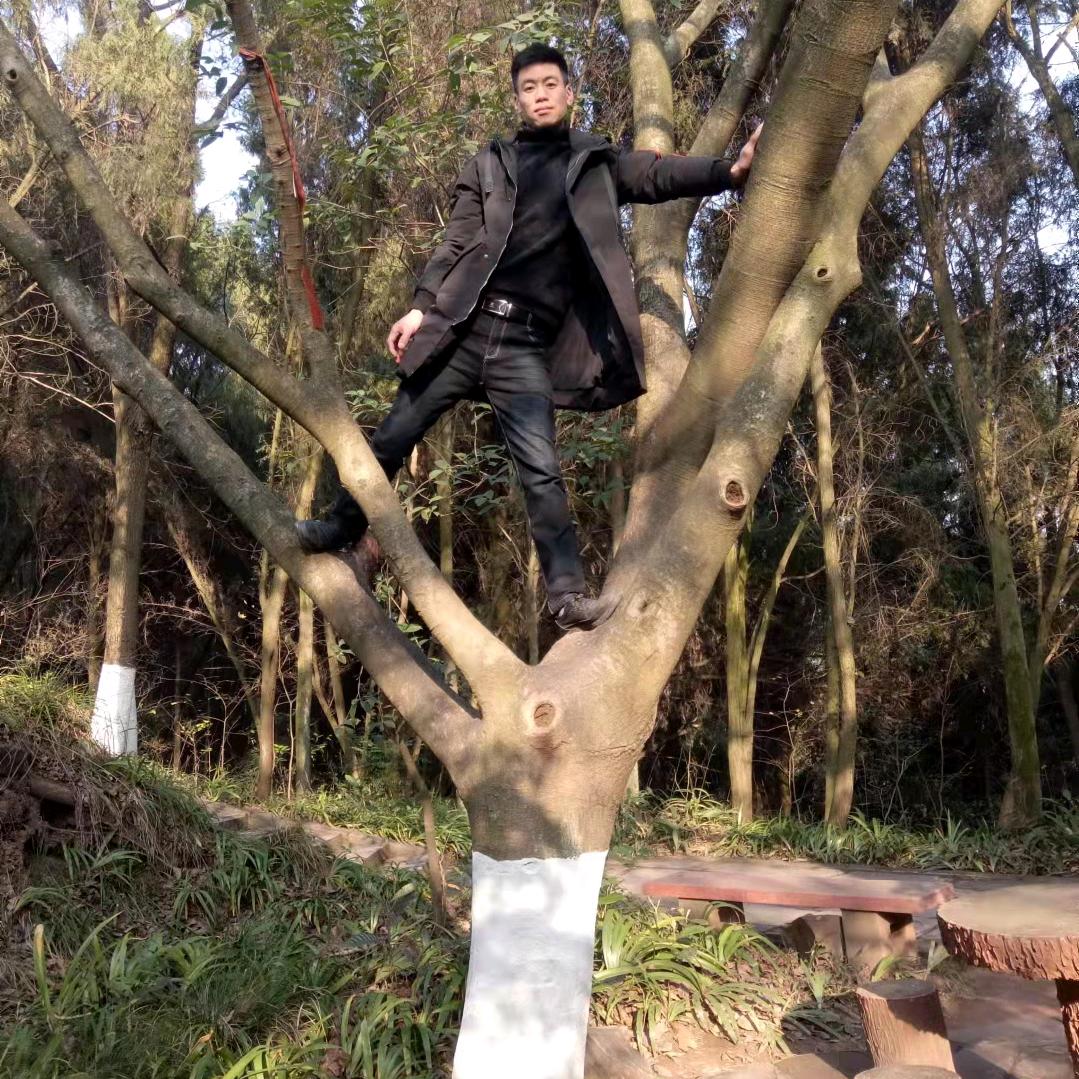 萍水相蓬