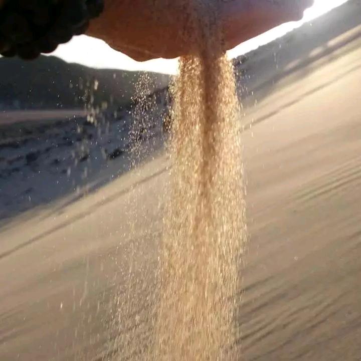 旅行的橙