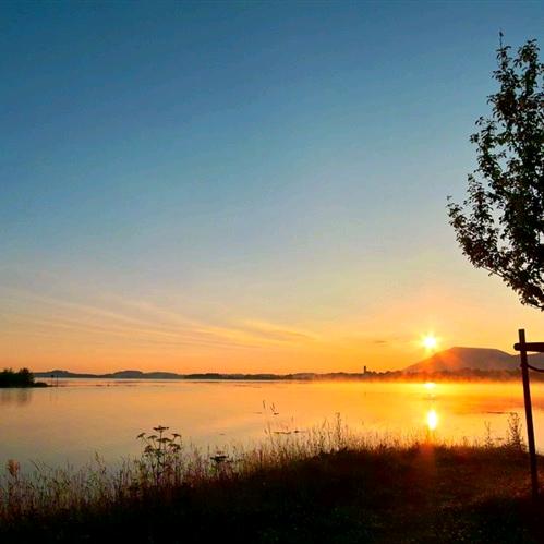 骑着蚂蚁干大象6👿