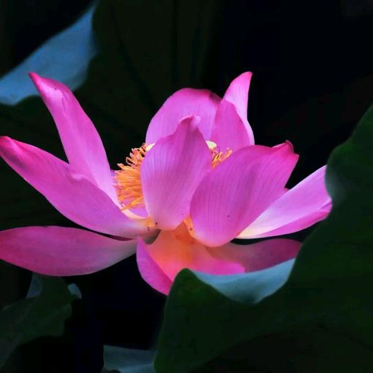一生平安