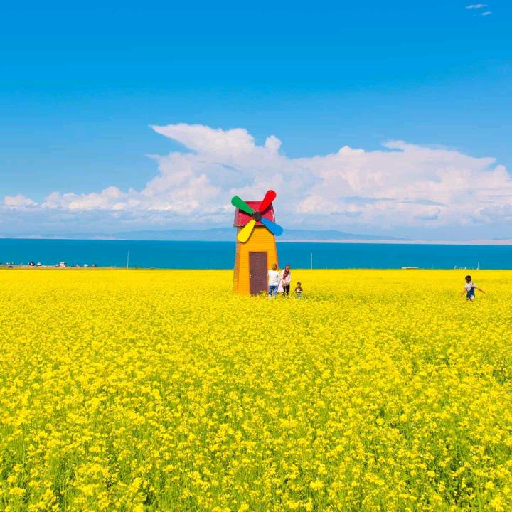 明媚