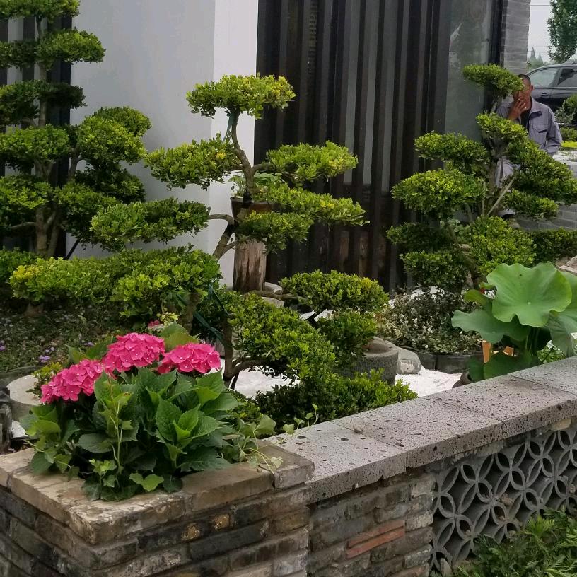 飞的更高