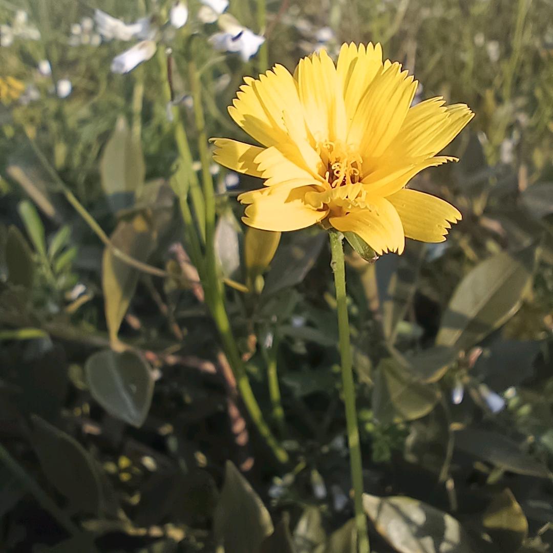 只要心中有，处处是风景！(乐呵老李)