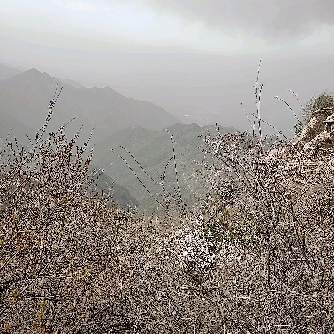 你那里下雪了吗