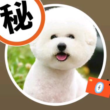 专业拆搭彩钢料棚钢结构