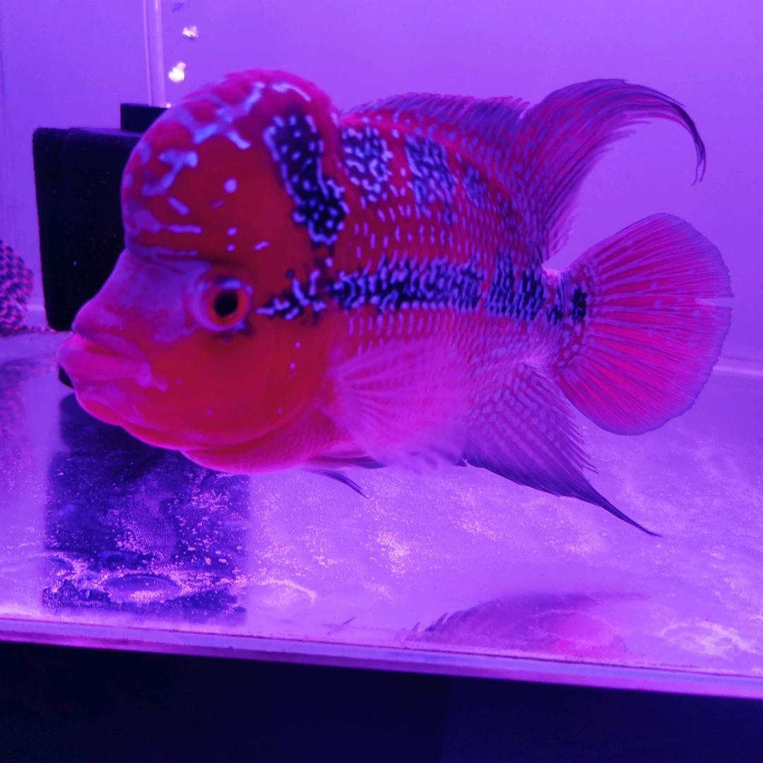 我在318等你🌈🌈🌈