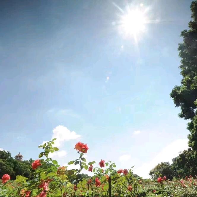 湖北辉璟餐饮美味集选铺
