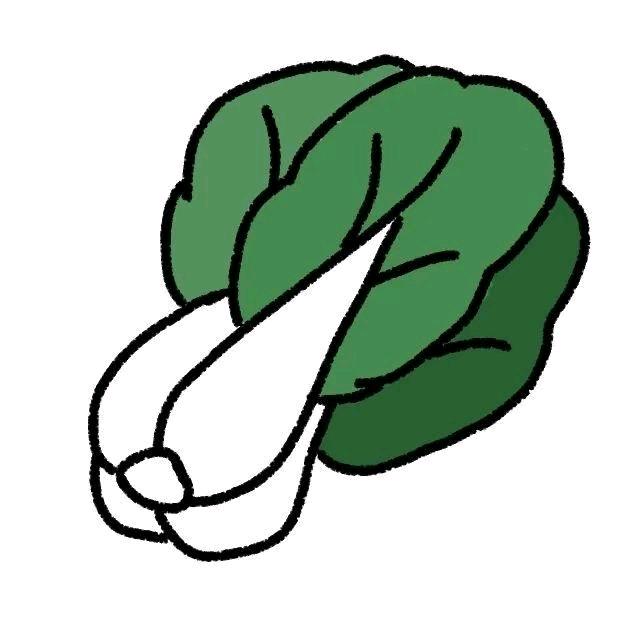 椰果🌴