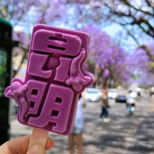 小魚儿的花花世界
