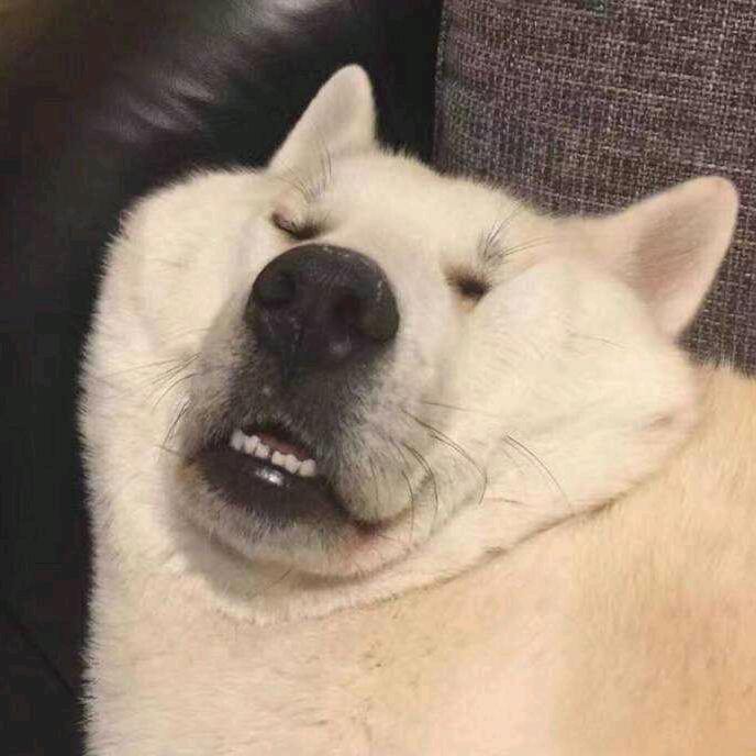 小泽ㅤ