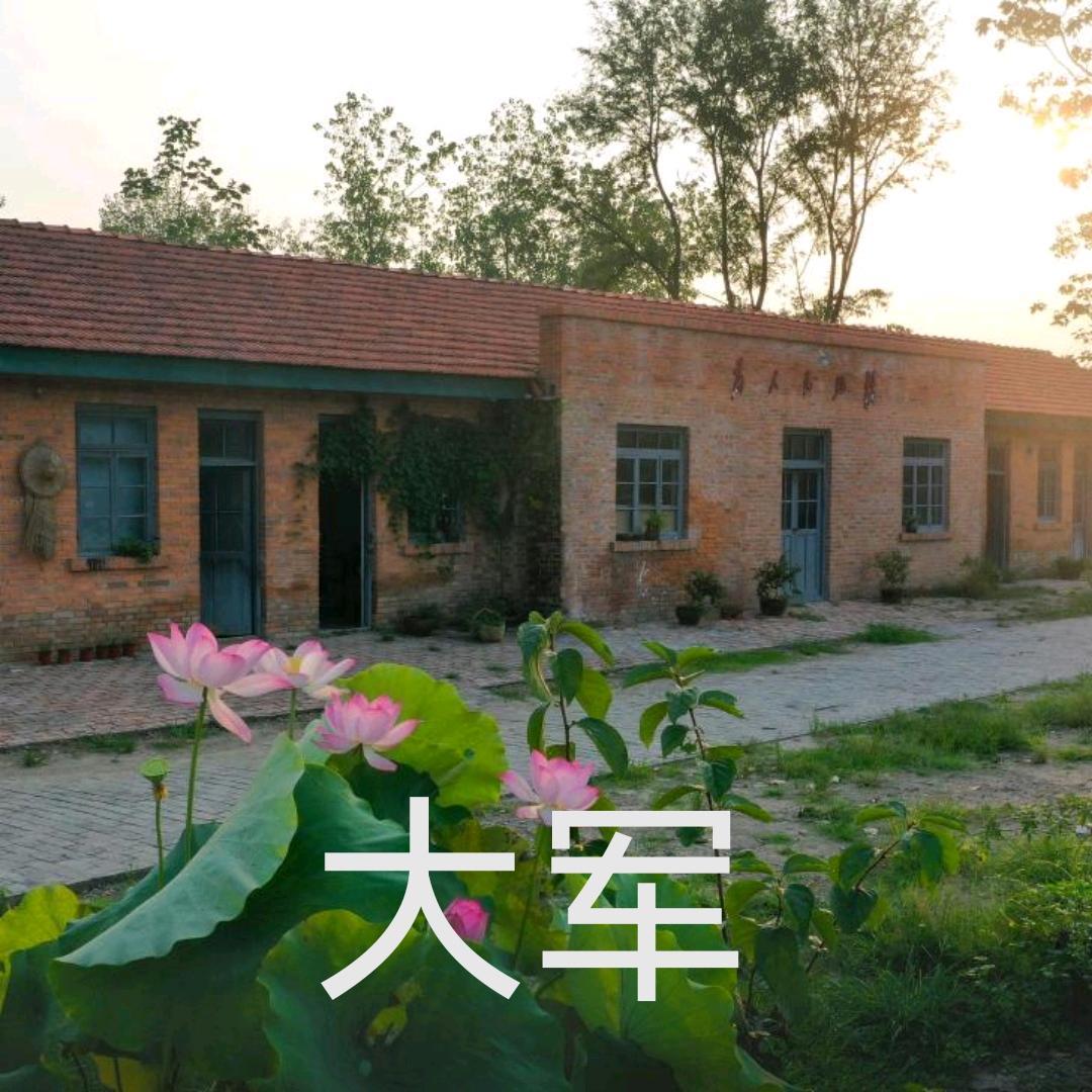 大军影视