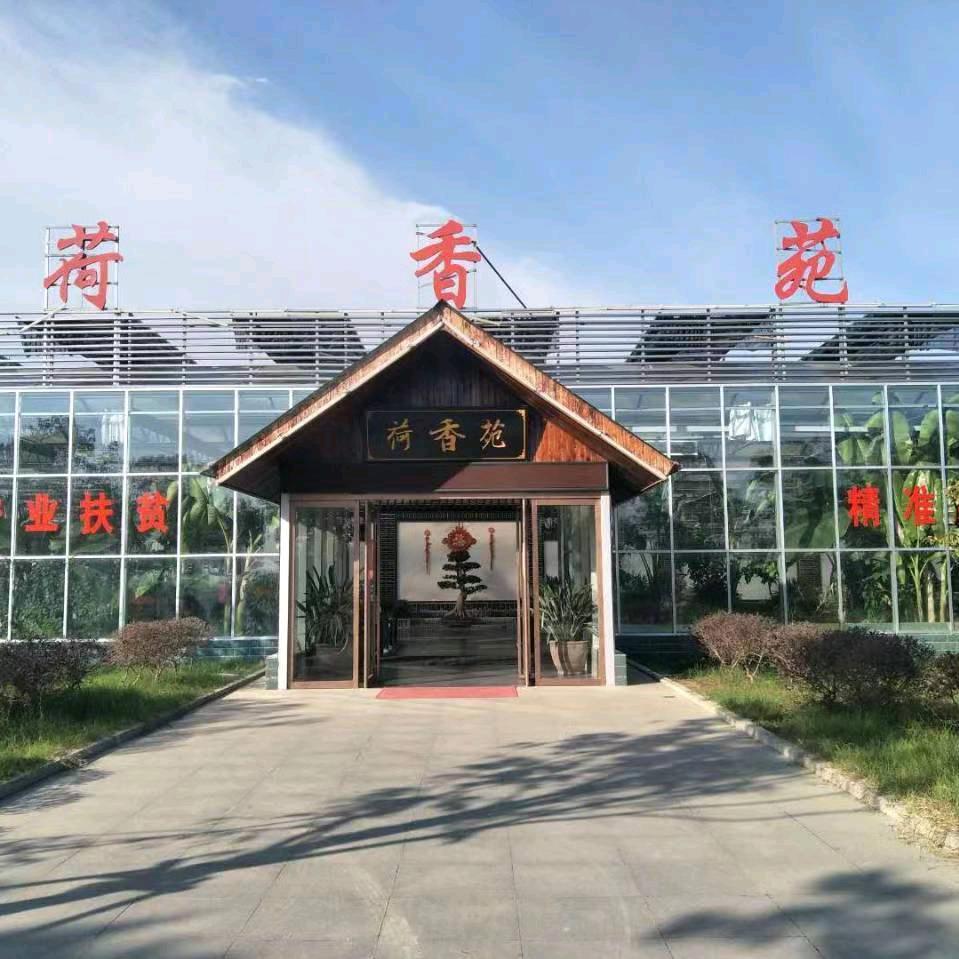 中原荷花博览园.荷香苑生态餐厅