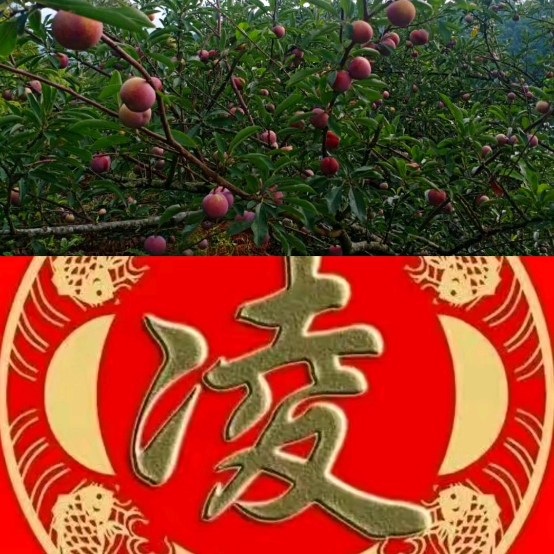幸福有你