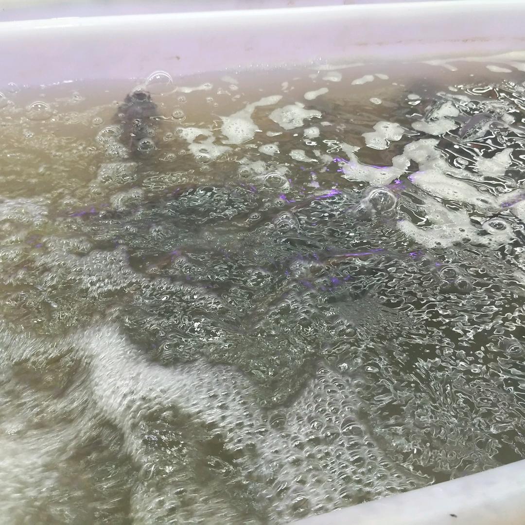 渔哥