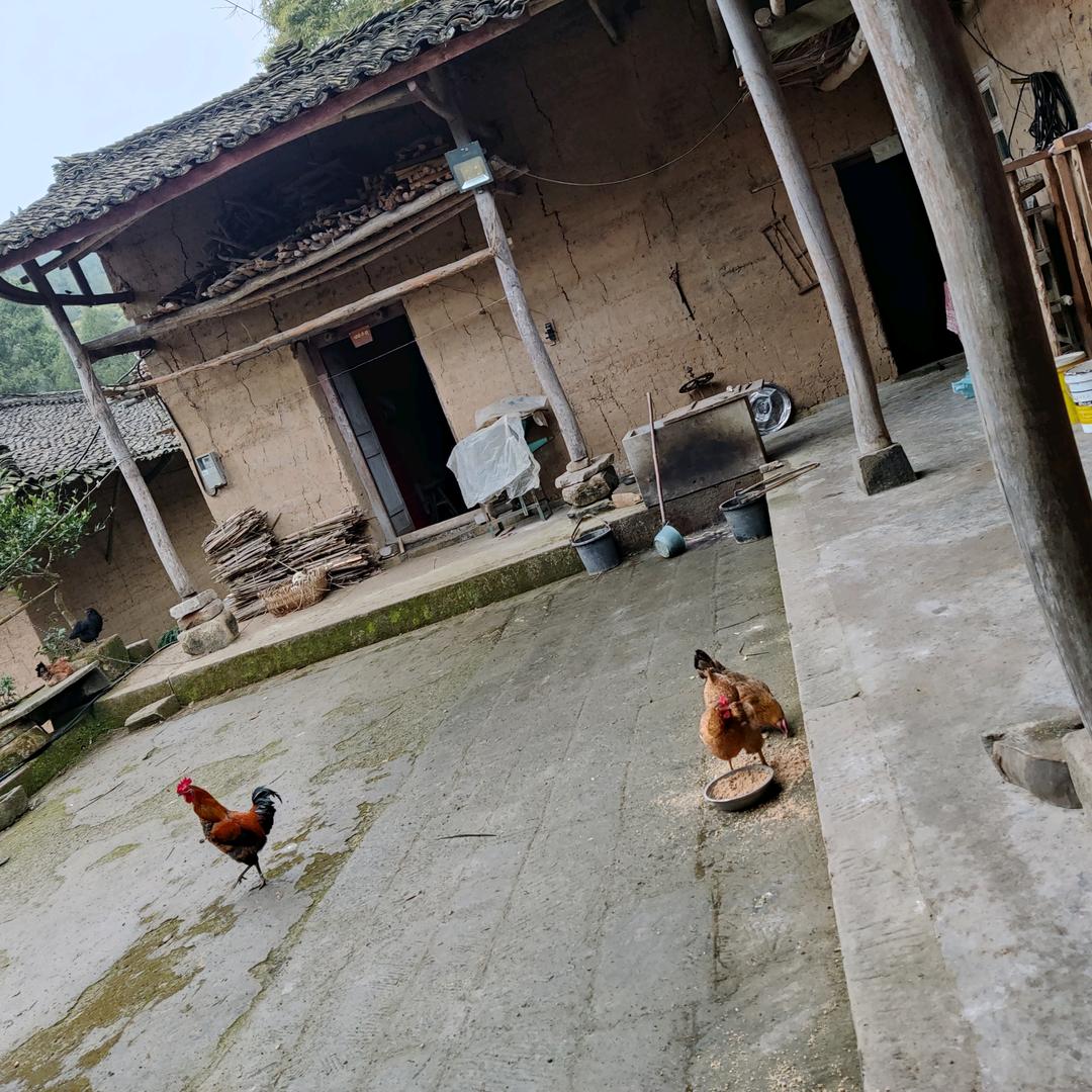 用户8803749610768真心对你