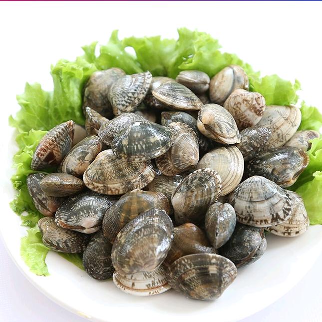 我是一个小贝壳