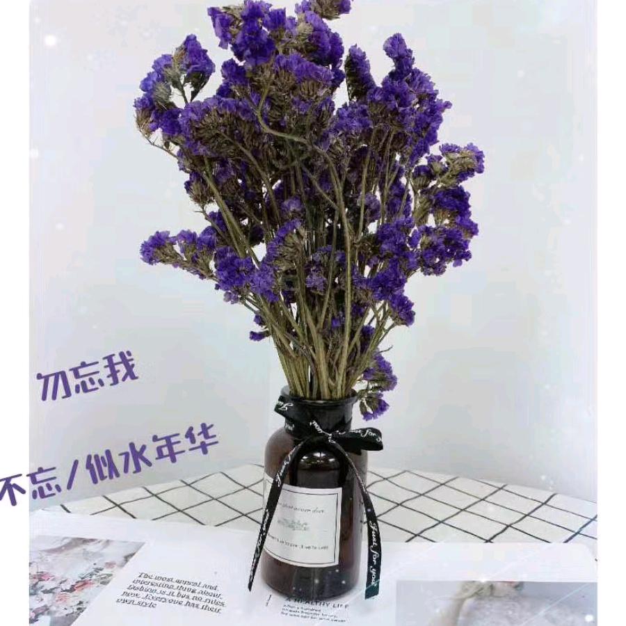 秀丽