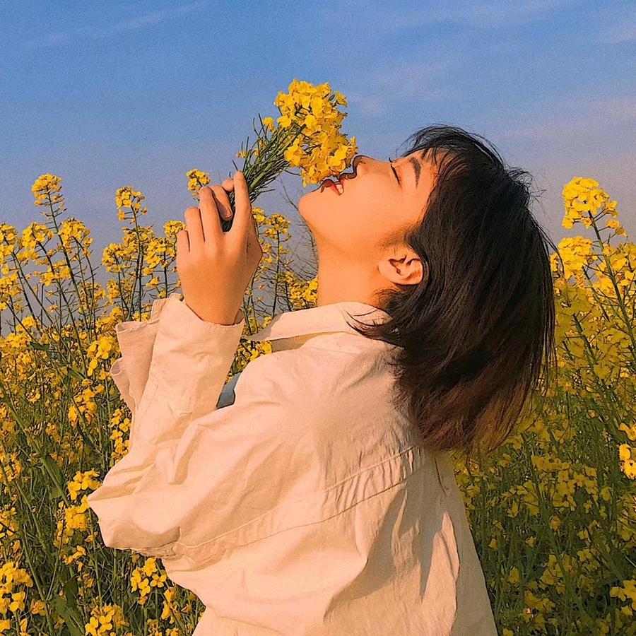 北回归线的太阳☀