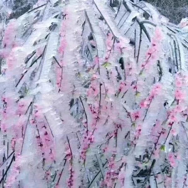 糖果甜伱心