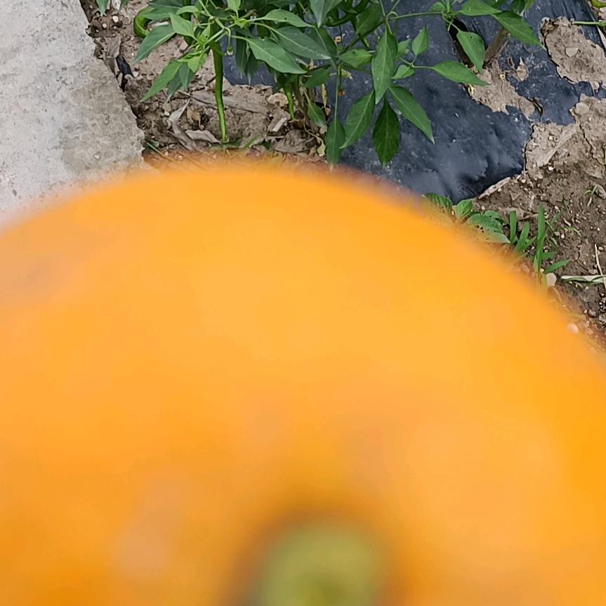 我就是我