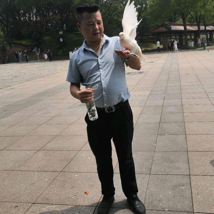 我拿什么拯救自己