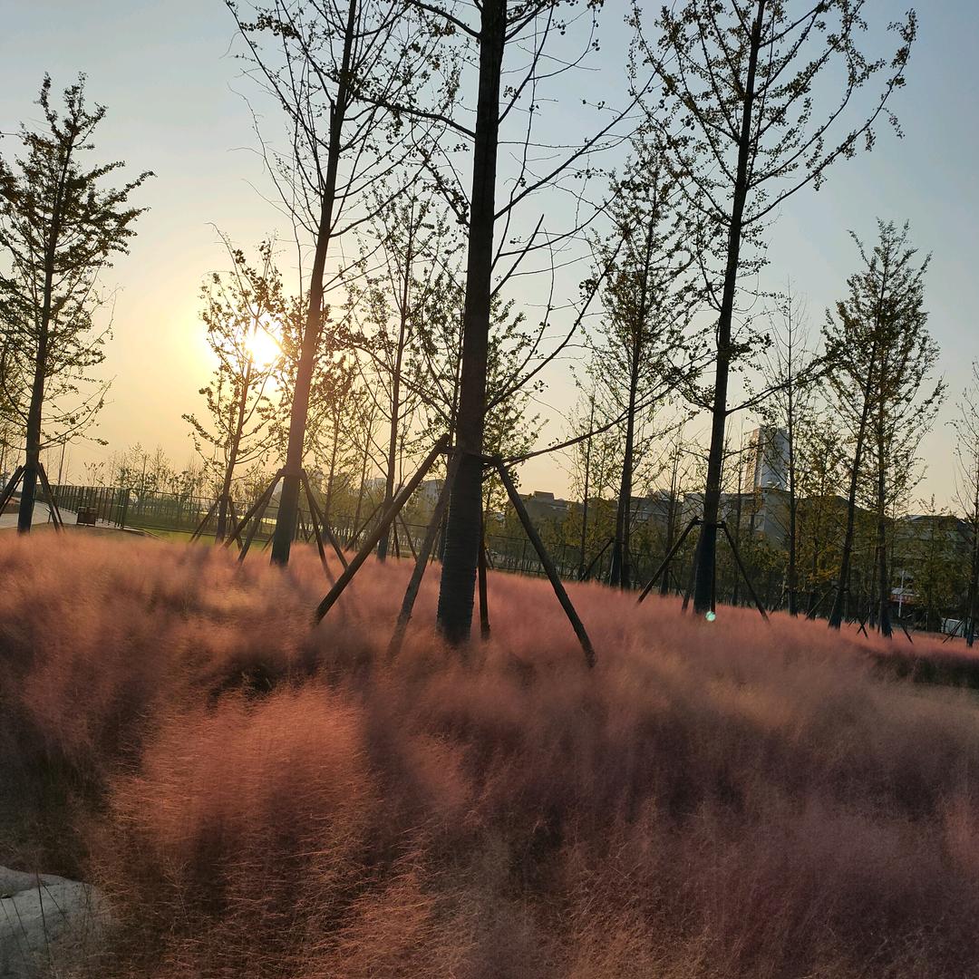 枝江市国宾酒店有限公司