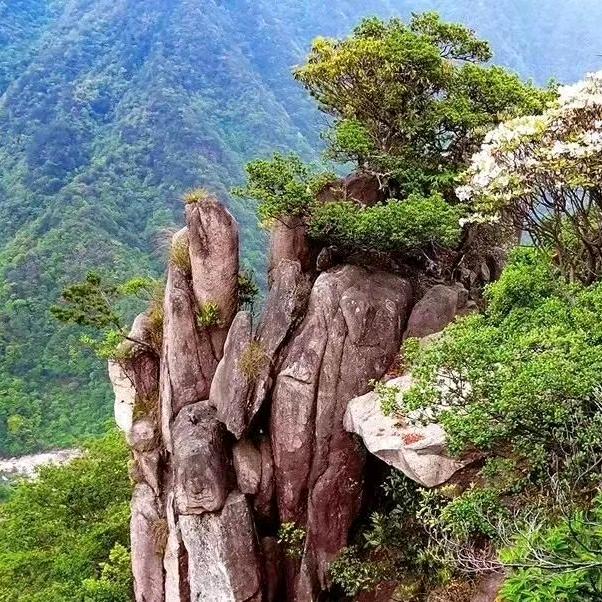 吴三姐（拒绝私聊）