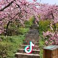 镇远小白自助餐