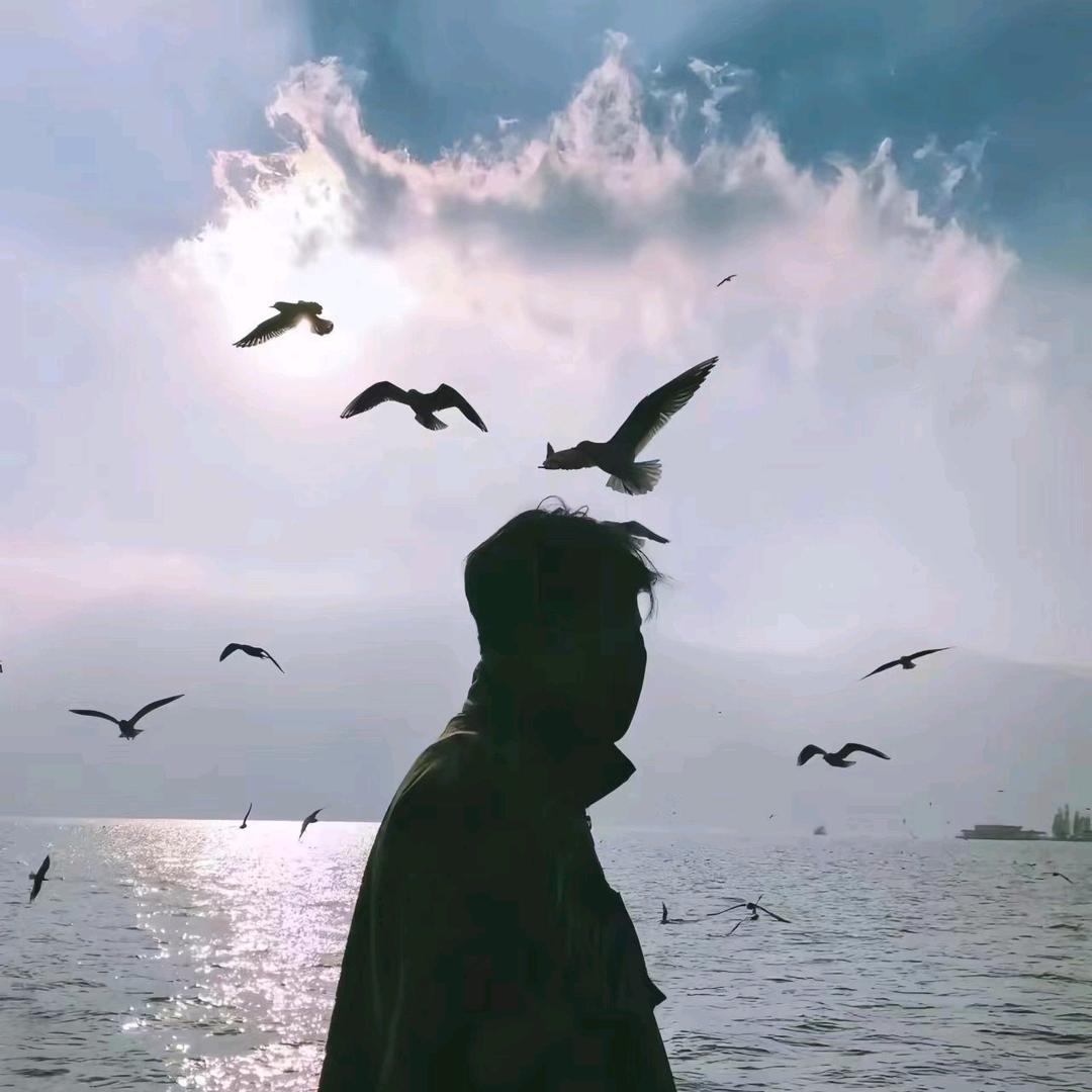 小白~