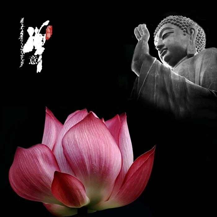 @静心看世界@