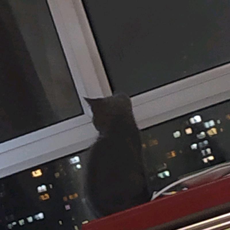 只若初见💃