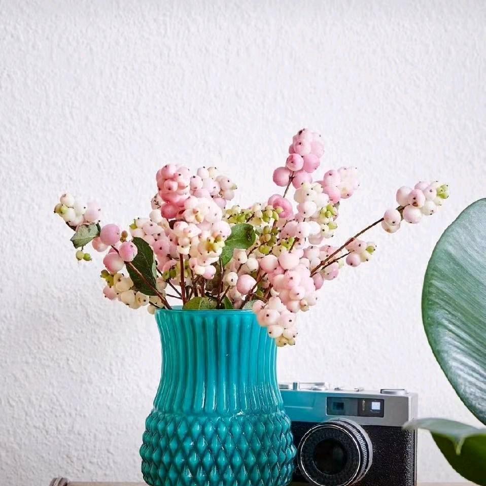 欣庭美业官方号