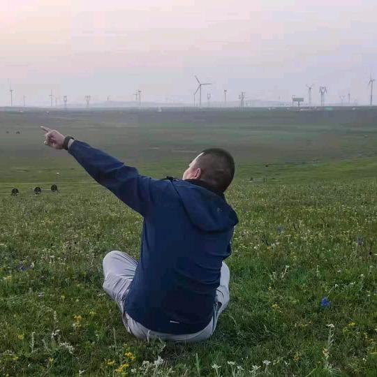 内蒙，青海，胡杨林专线