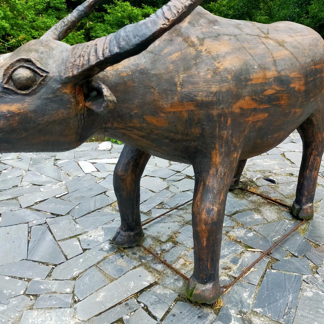 岳西县大岭茶厂